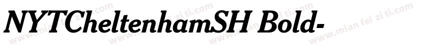 NYTCheltenhamSH Bold字体转换